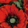 Предпросмотр схемы вышивки «картина маки» (№785539)