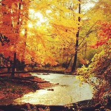 Схема вышивки «№785774»