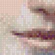 Предпросмотр схемы вышивки «№785802»