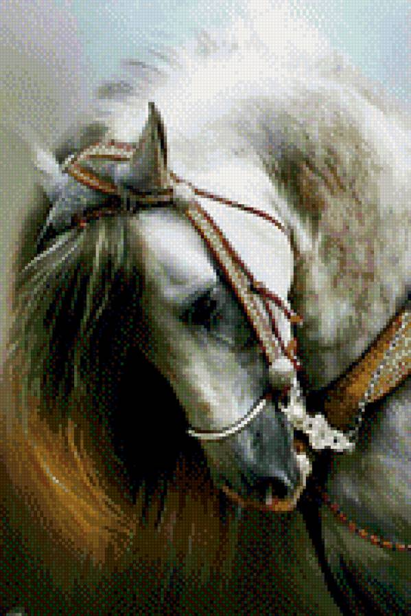 №785824 - животные, звери, лошади - предпросмотр