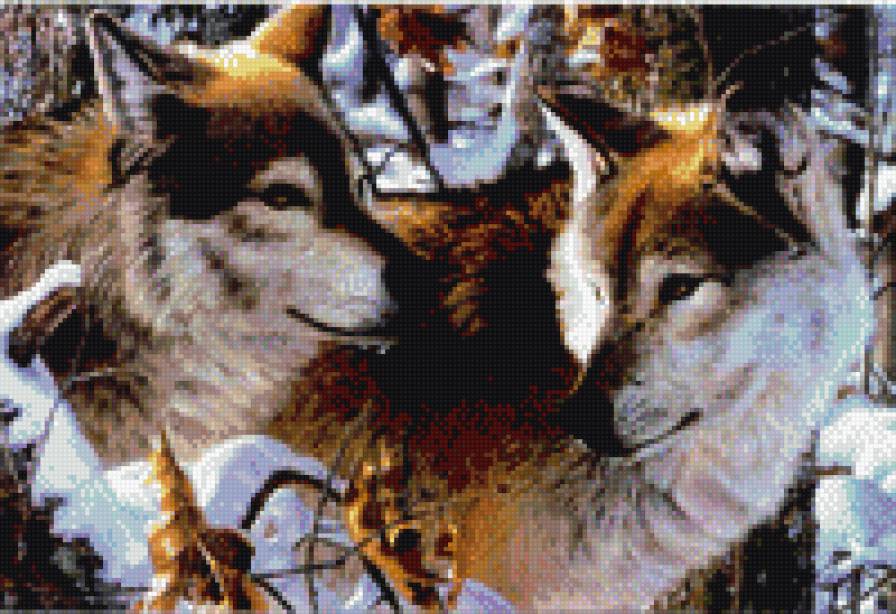 пара волков - предпросмотр