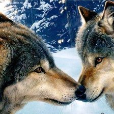 Схема вышивки «волки»