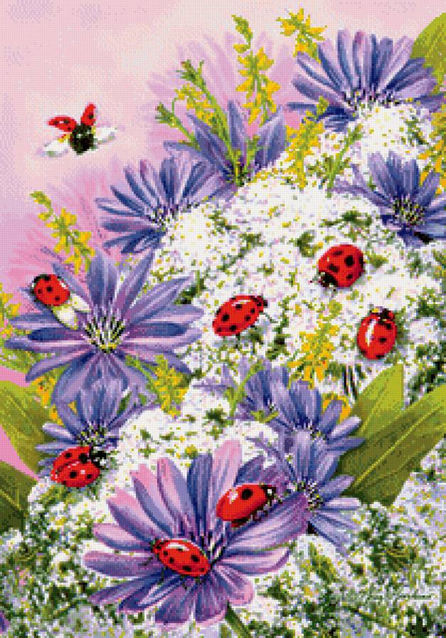 божьи коровки - божьи коровки - предпросмотр