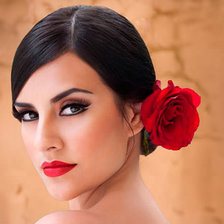 Схема вышивки «красотка»