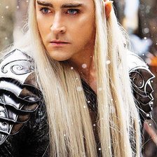 Схема вышивки «Трандуил»