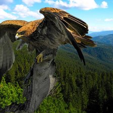 Схема вышивки «02»