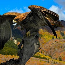 Схема вышивки «03»