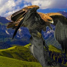 Схема вышивки «04»