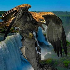 Схема вышивки «07»