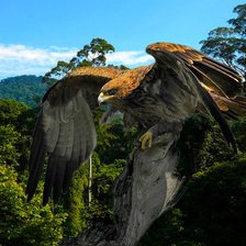 Схема вышивки «08»