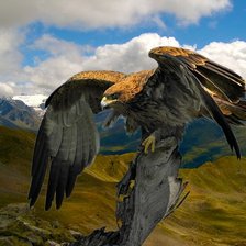 Схема вышивки «09»