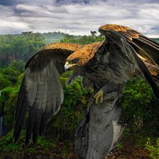 Схема вышивки «12»