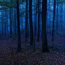 Схема вышивки «22»