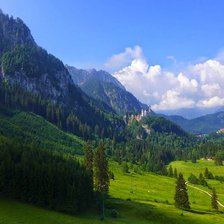 Схема вышивки «24»