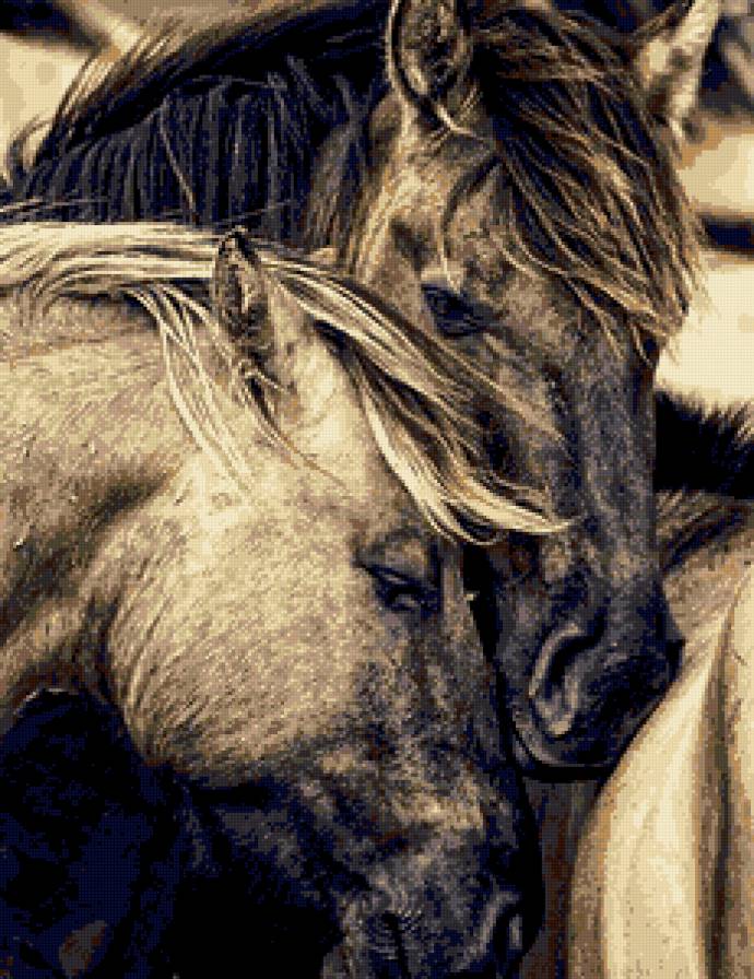 Пара - лошади, пара, домашние животные, привязанность - предпросмотр