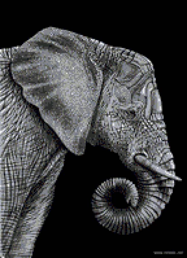 Слон - предпросмотр