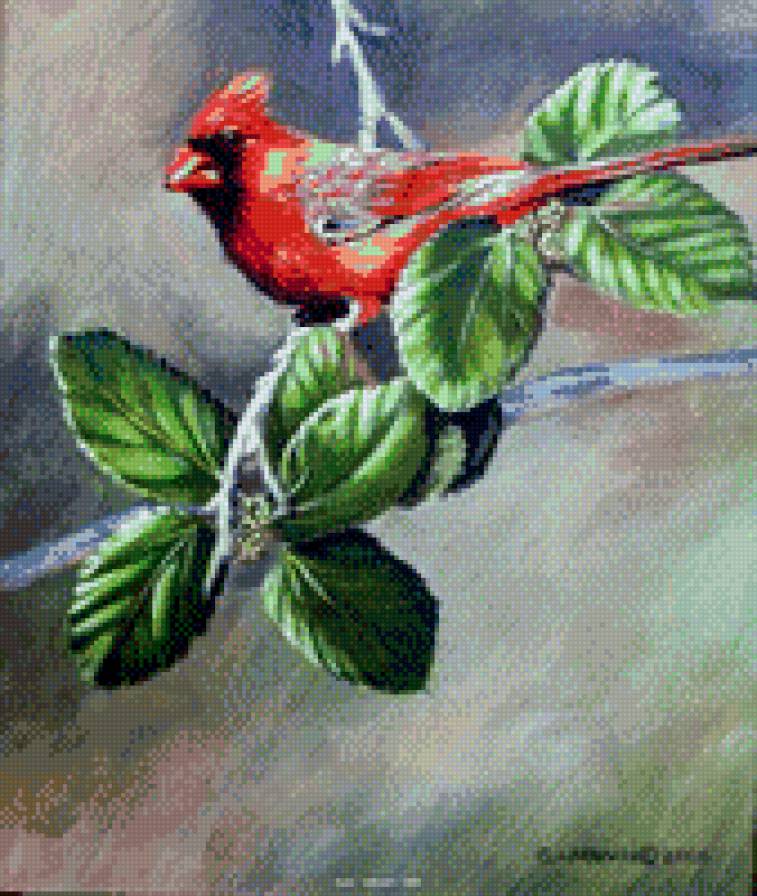 художник Susan Labouri 2 - лето, цветы, картина, птицы, красота, природа - предпросмотр