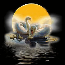 Схема вышивки «№787245»