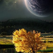 Схема вышивки «лунная ночь»