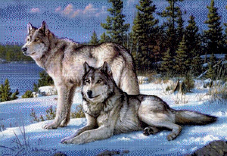 верная пара - животные, природа - предпросмотр