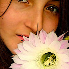 Схема вышивки «Иришечка»