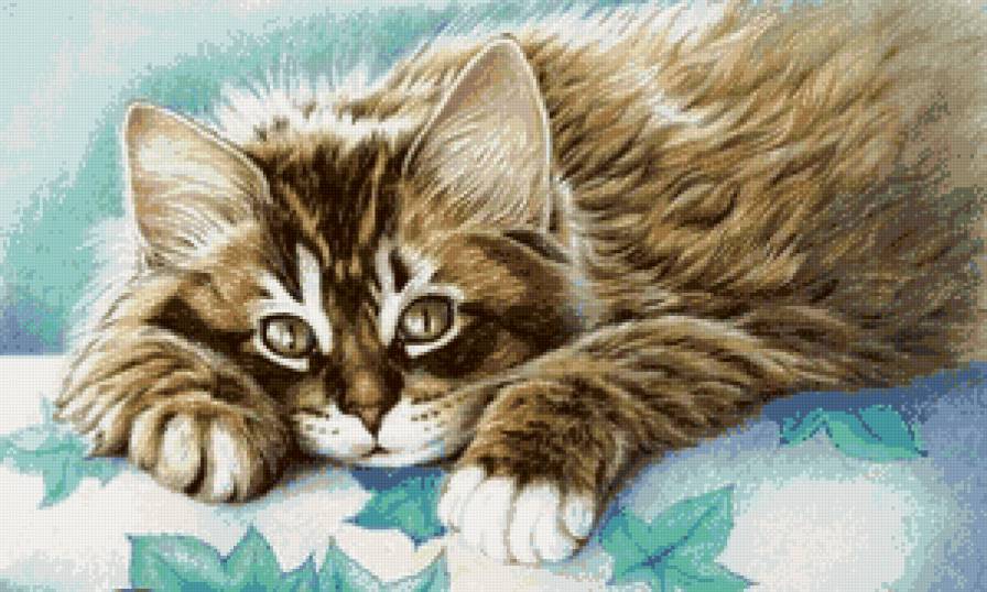 котенок - животные, кошка, кот - предпросмотр