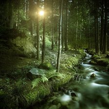 Схема вышивки «лесная речка»