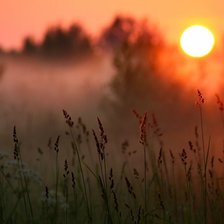 Схема вышивки «туманное утро»