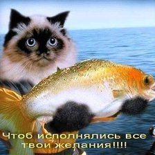 Схема вышивки «открытка»