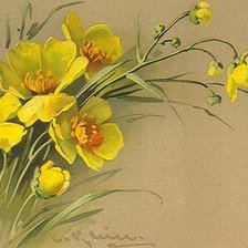 Схема вышивки «Желтое чудо»