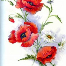 Схема вышивки «акварельные маки»