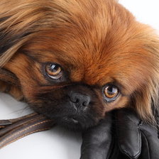 Схема вышивки «№787850»