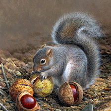 Схема вышивки «Моя белочка»