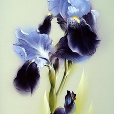 Схема вышивки «цветы»