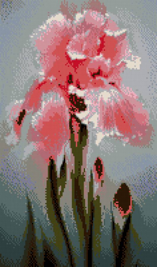 цветы - розовый, ирис, в китайском стиле, цветы - предпросмотр