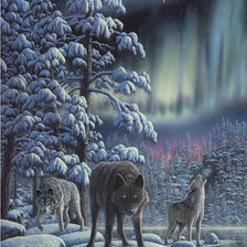 Схема вышивки «северное сияние часть1»