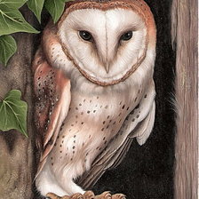 Схема вышивки «№788190»