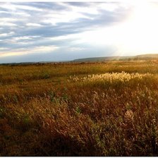 Схема вышивки «пейзаж»