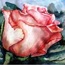 Схема вышивки «роза  акварель»