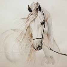 Схема вышивки «Изабелла»