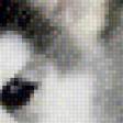 Предпросмотр схемы вышивки «Пушистик» (№788524)