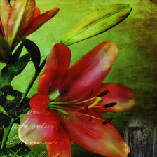 Схема вышивки «№788978»