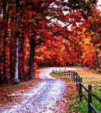 Схема вышивки «красная осень»