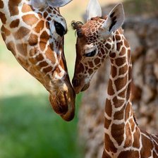 Схема вышивки «мама и дитя»