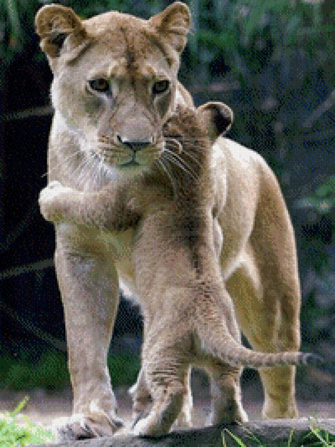 мама и дитя - мама и дитя - предпросмотр