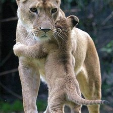 мама и дитя