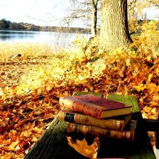 Схема вышивки «Осень»