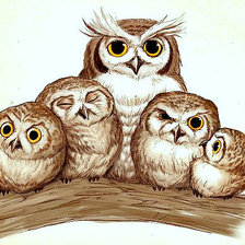 Схема вышивки «совки2»