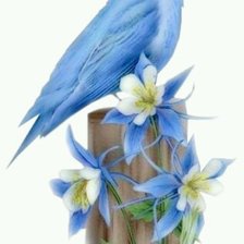 Схема вышивки «райская птичка»