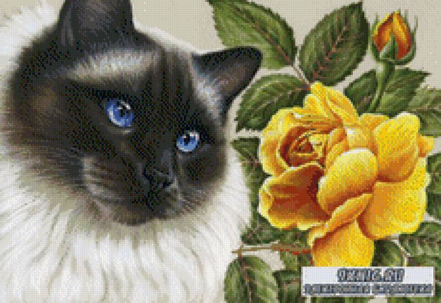 №789448 - предпросмотр